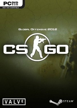 counter strike global offensive